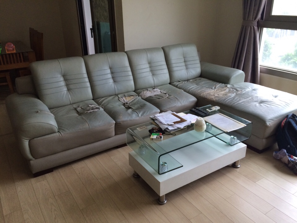 Lý do vì sao bạn nên sửa chữa sofa thay vì mua mới
